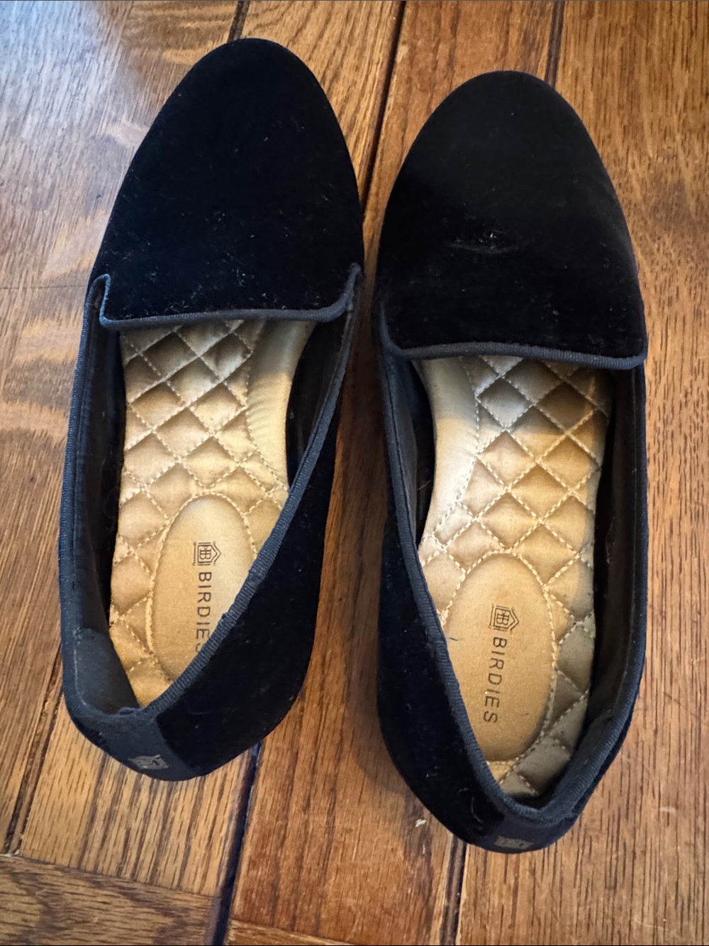 Birdies Black Velvet Slip-On Loafers